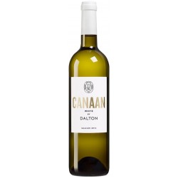 DALTON Canaan blanc 2017